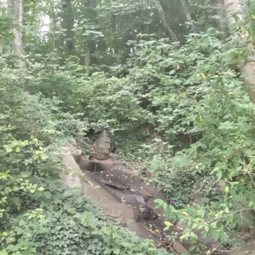 20260711 192633.jpg