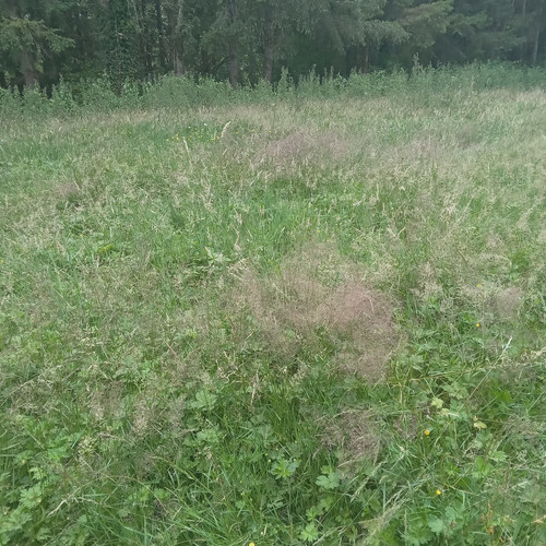 20260711 193213.jpg