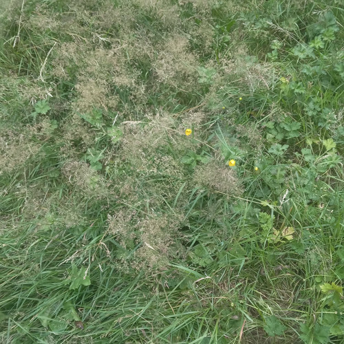 20260711 193228.jpg
