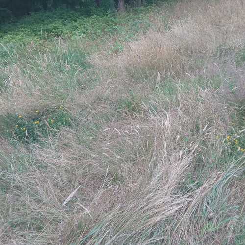 20260711 193040.jpg