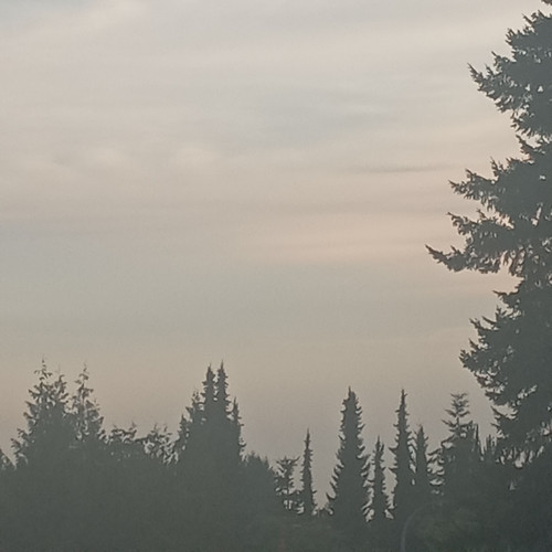 20260722 201023.jpg