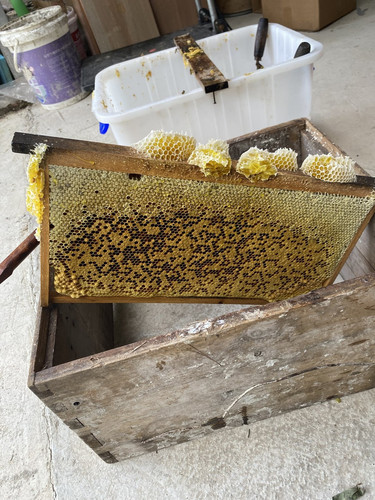 photo1 honeycomb frame.jpg