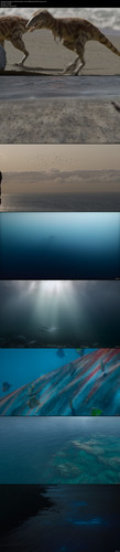 af113a52a8bc0b3d04f76a57c10e6a83b thumbs.jpg