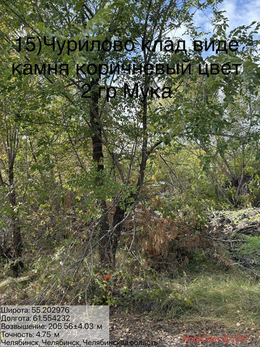 6ab181aa391a5.jpg