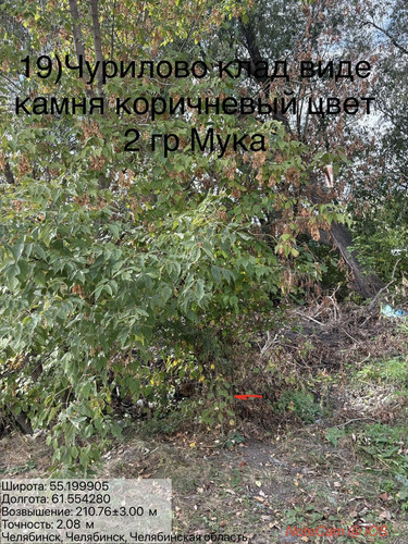 6ab181ad2df87.jpg