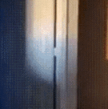 IMG 9827.gif