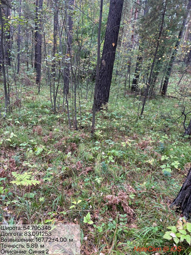 6ab1826638ccd.jpg