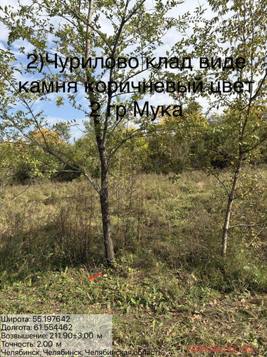 6ab181919d33c.jpg