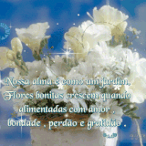 nossaalma.3gif.gif