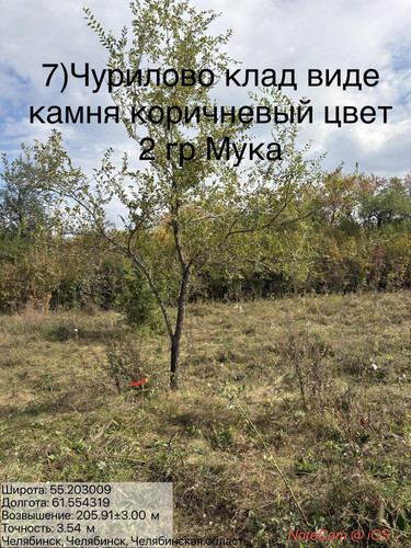 6ab1819a1a135.jpg