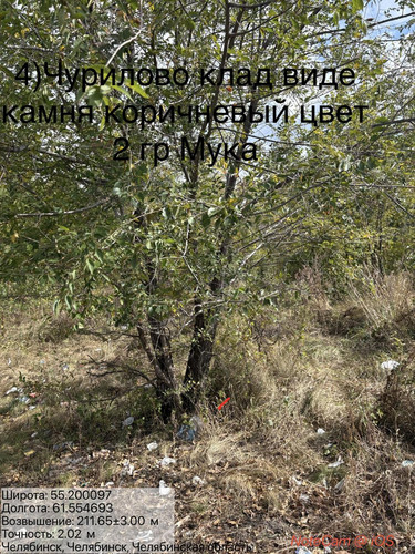 6ab1819208409.jpg