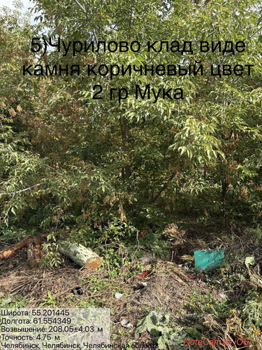 6ab1818f9a656.jpg