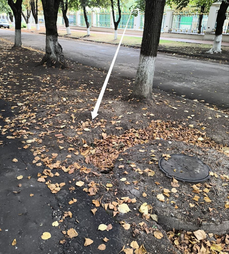6ab18a781611a.jpg