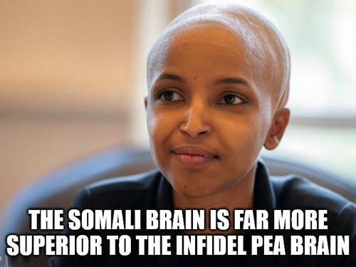 ilhan omar sexy somalian brain.jpg