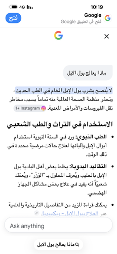 IMG 9591.png