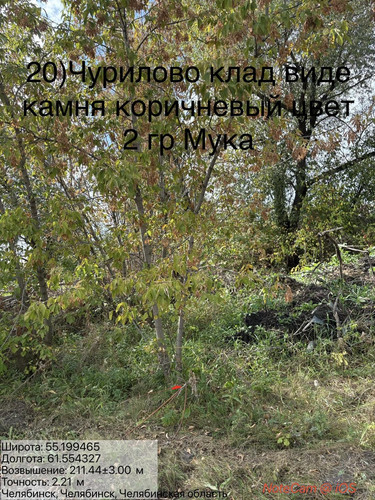 6ab181ad39a7d.jpg