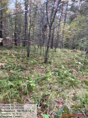 6ab1825971364.jpg