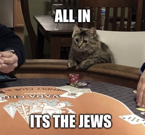 its the jews nigga.jpg