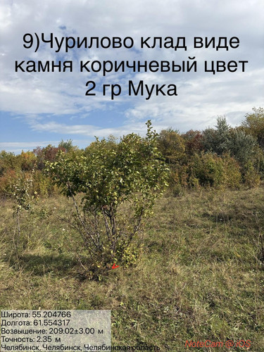 6ab1819a1c967.jpg