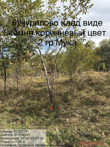 6ab1819b01cdf.jpg