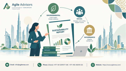 Sustainability report consultant in Dubai_UAE.jpg