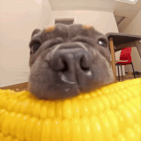 SLjOwPw.gif