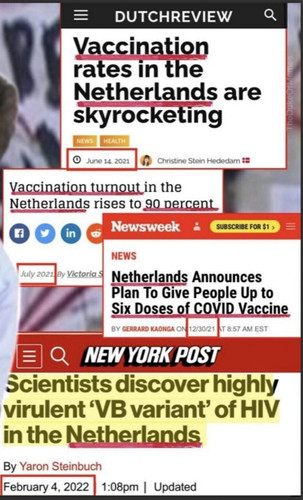Dut c.jpg