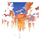 pfpx500.png