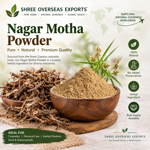 Nagarmotha Powder for Cosmetic Manufacturers Bulk Quality, Applications & Supply from India.png