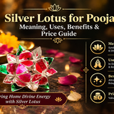 Buy Silver Lotus Online at Best Price | The Stardust Studio.png