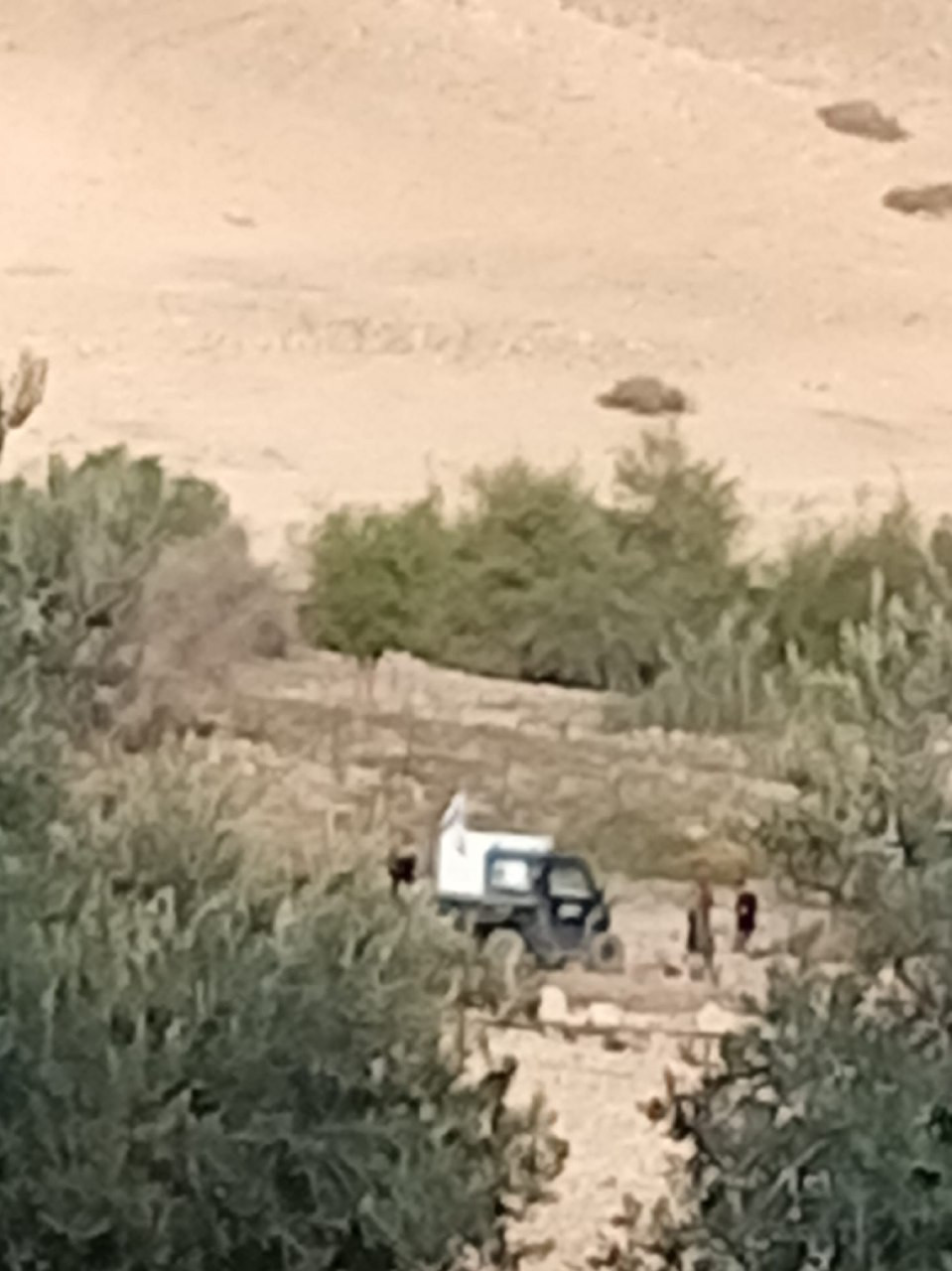 صورة الخبر