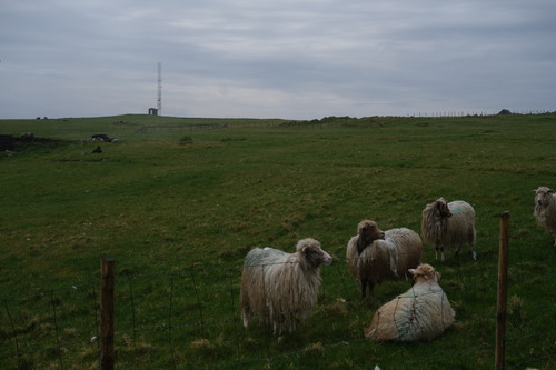 Faroe Islands 5G - PROOF OF CONCEPT #1.jpg