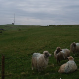 Faroe Islands 5G - PROOF OF CONCEPT #1