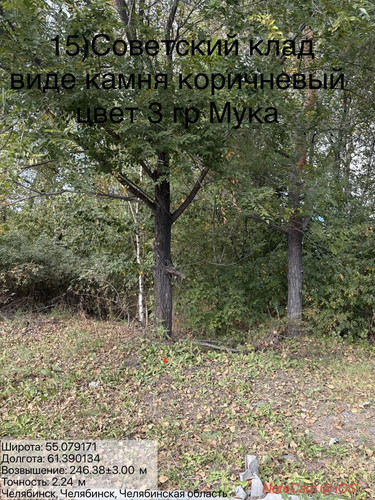 6ab16839d56d1.jpg