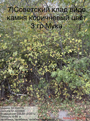 6ab16858c8450.jpg