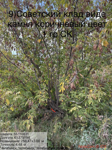 6ab1658654f3f.jpg