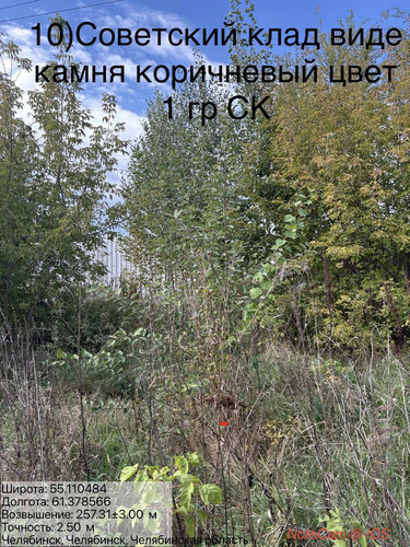 6ab16587bb4a2.jpg