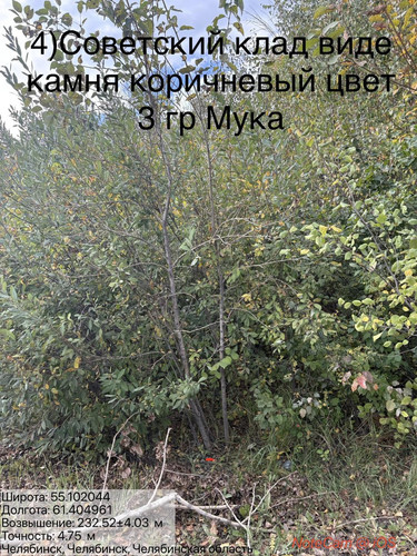 6ab168619f062.jpg