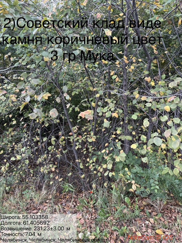 6ab1688f9ab8f.jpg