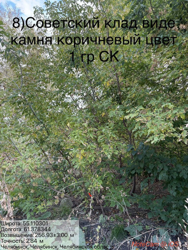 6ab16586aa430.jpg