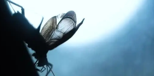 img 0.png