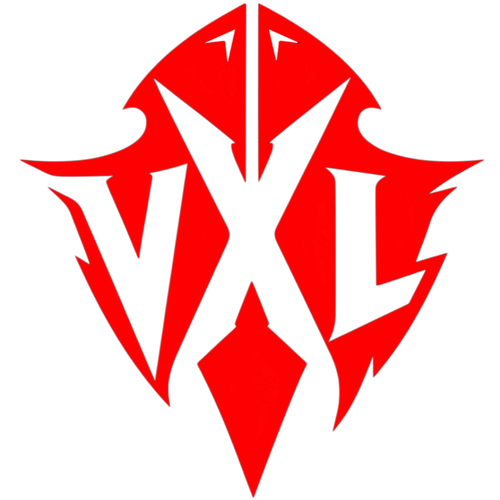 VXL E SPORTS.png