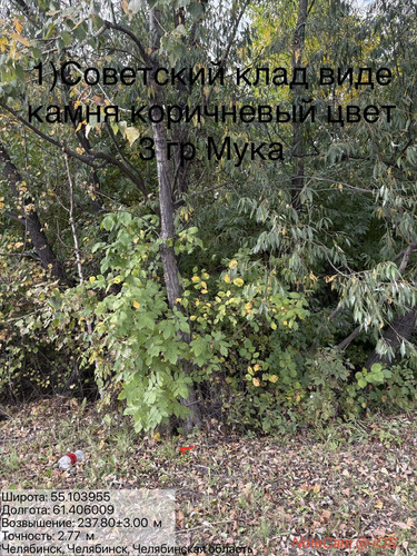 6ab16891a8e13.jpg
