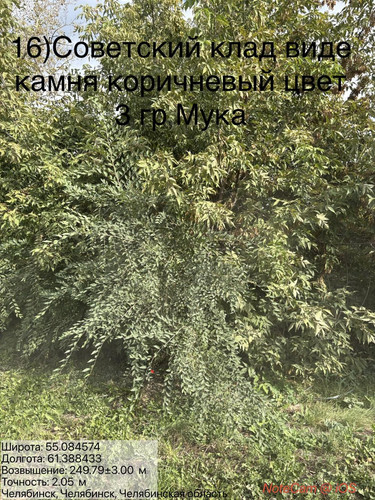 6ab1683379e75.jpg