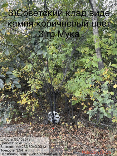 6ab16866f0db3.jpg