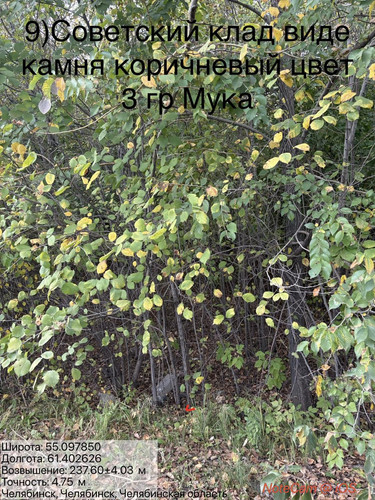 6ab16875eb518.jpg