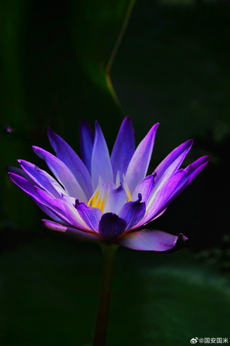 7395fe5dly1hhmeq2ubzij22o04007wi.jpg