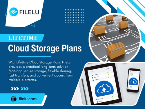 Lifetime Cloud Storage Plans.jpg