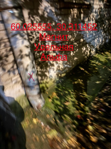 6ab31846bf9a6.jpg