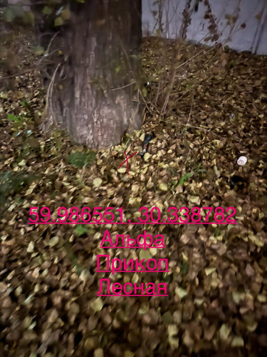 6ab31530c4d41.jpg